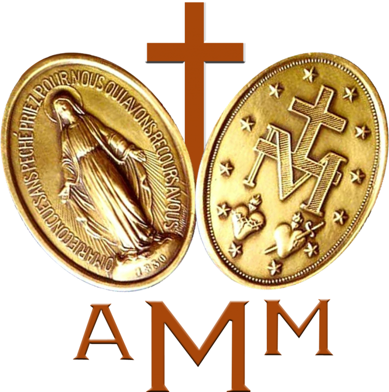 Amm Logo 768x772 