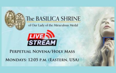 Weekly Livestream of Perpetual Novena Followed by Holy Mass